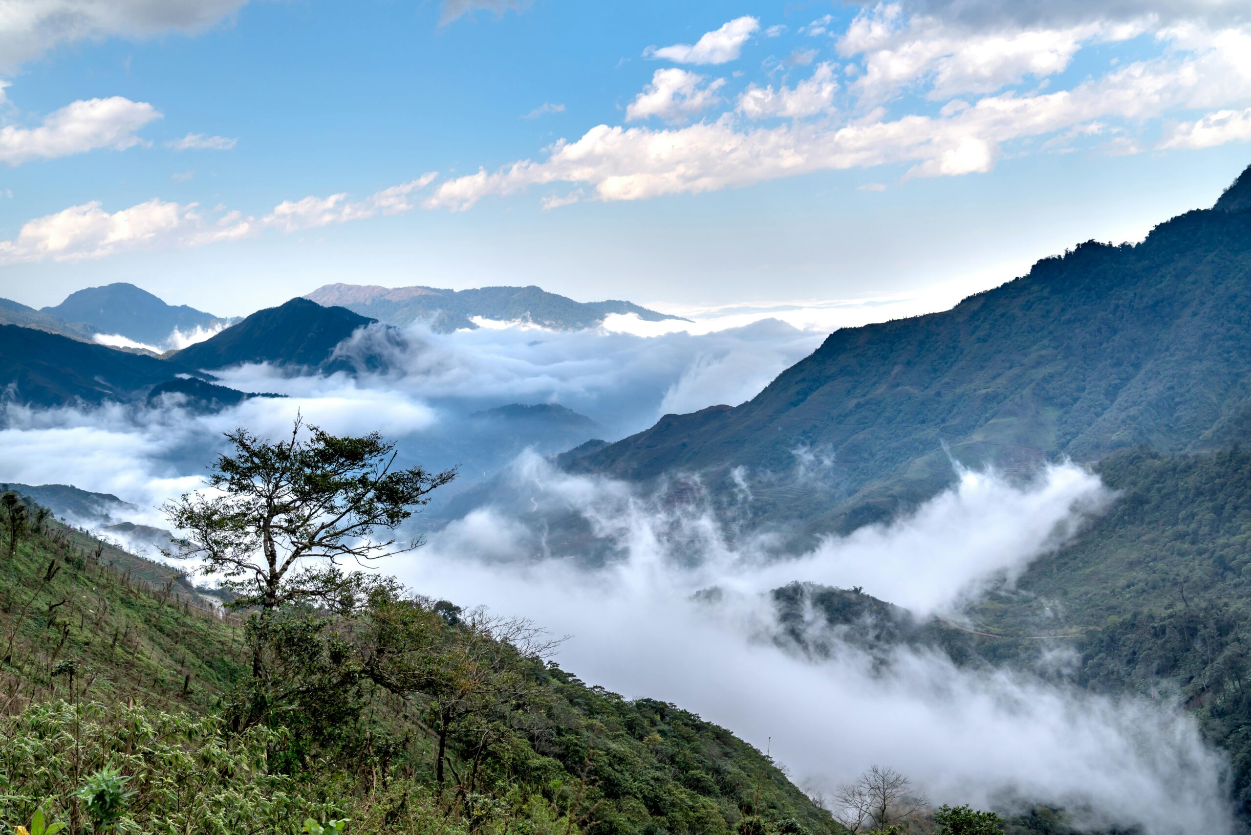 pexels-quang-nguyen-vinh-222549-14010871