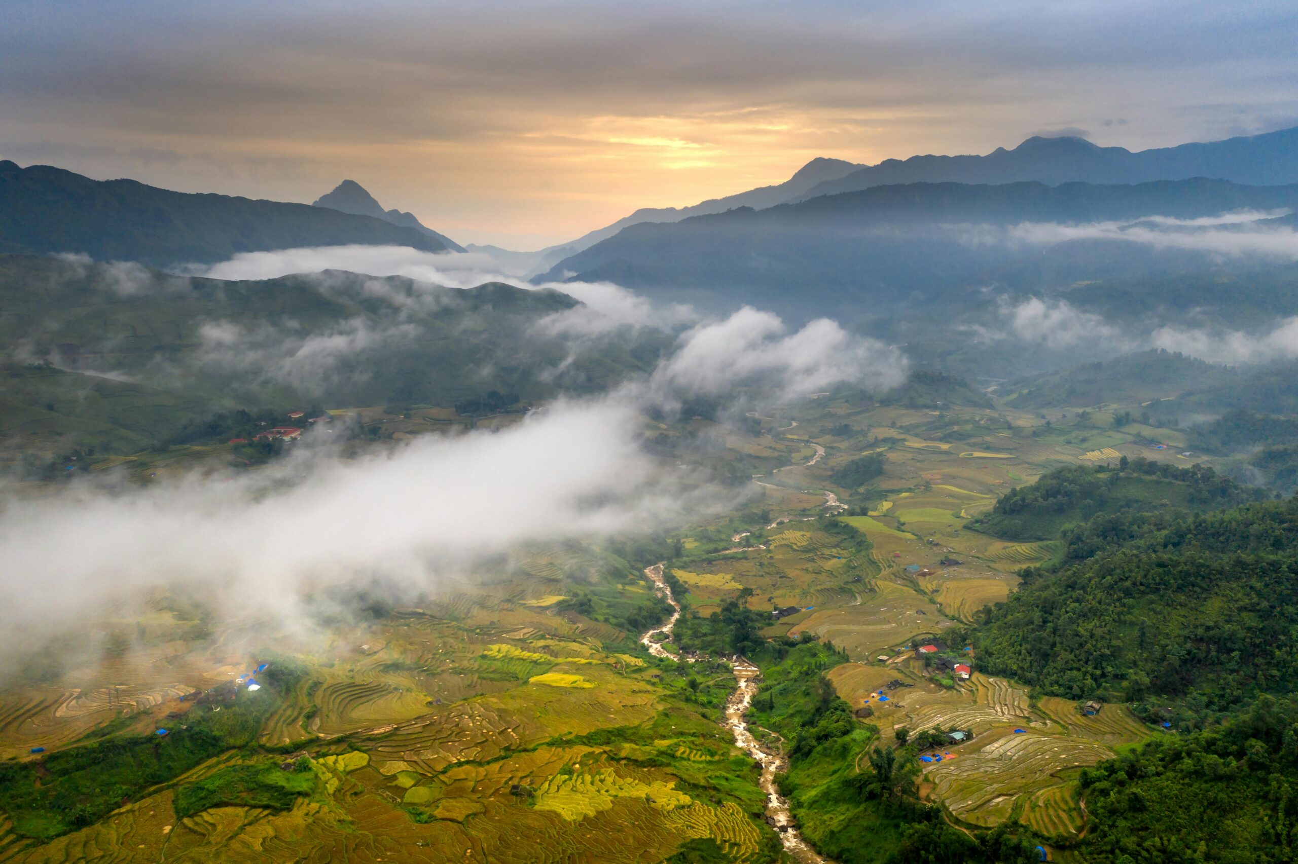 pexels-quang-nguyen-vinh-222549-14025263